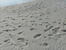 zorras playa nudista